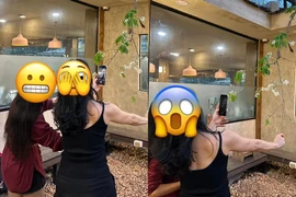 Check-in cây hoa sưa hot nhất Hà Nội, nhiều người gây tranh cãi