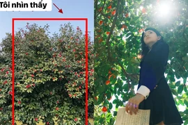 Không thể tin vào mắt với những bức ảnh “nhìn thấy và chụp được“