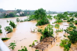 Nước sông Hồng dâng cao, nhiều vùng ven sông ngập úng