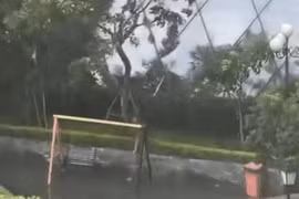 Đứng ngắm mưa, cô gái phát hiện cảnh dở khóc dở cười