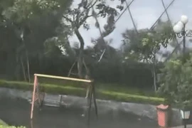 Đứng ngắm mưa, cô gái phát hiện cảnh dở khóc dở cười