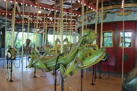 Vòng quay côn trùng khiến nhiều người trẻ “khiếp sợ“