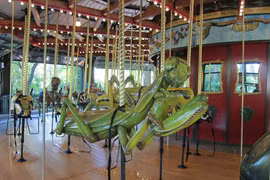 Vòng quay côn trùng khiến nhiều người trẻ “khiếp sợ“