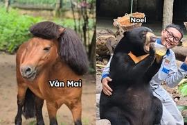 Dàn “idol giới trẻ” với những cái tên độc lạ ở Thảo Cầm Viên