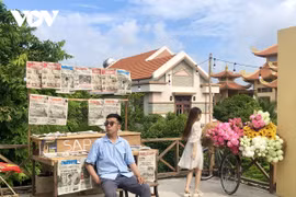 Giới trẻ TP.HCM tận hưởng mùa thu Hà Nội