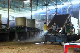 Lộ đường dây làm trà “cứt trâu“