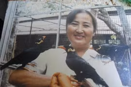 Tuyệt kỹ nuôi chim nói tiếng người để thi Hội hoa Xuân