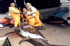 Chuyện xuất ngoại đánh cá kiếm nghìn đô ở hải ngoại