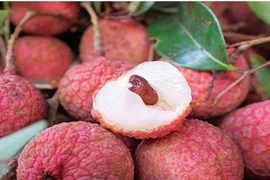 Sai lầm chết người cho trẻ ăn vải khi đói