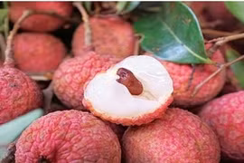 Sai lầm chết người cho trẻ ăn vải khi đói