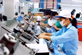 Trốn đóng bảo hiểm xã hội có thể bị phạt tù 7 năm