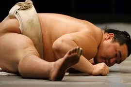 Võ sĩ Sumo có mắc những bệnh của người béo phì?