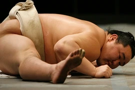 Võ sĩ Sumo có mắc những bệnh của người béo phì?