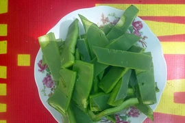 Đặc sản xương rồng Quảng Nam ngon lạ vô song