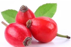 Cách chống dị ứng hiệu quả hơn dùng thuốc