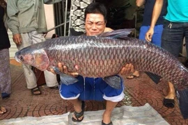 Những món ngon đặc sản Hồ Tây khiến bạn tiếc nuối