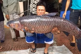 Những món ngon đặc sản Hồ Tây khiến bạn tiếc nuối