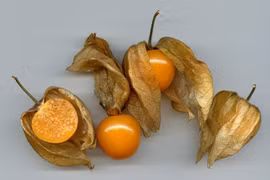 Công dụng của quả dại tầm bóp bán tại Nhật với giá 700.000đ/kg