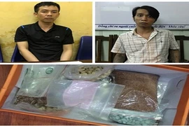 Triệt phá "công xưởng" sản xuất thuốc lắc ở đất Cảng