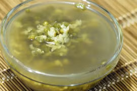 Bài thuốc đơn giản chữa cảm nóng, say nắng khi chuyển mùa