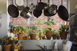 Giật mình những dụng cụ nhà bếp chứa độc tố chết người