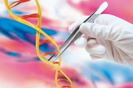 Đã tìm ra quá trình đột biến sinh bệnh ung thư