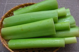 Công dụng chữa bệnh của dọc mùng có thể bạn chưa biết