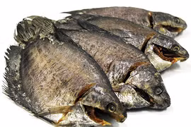 Đặc sản cá sặc rằn duy nhất có ở U Minh Thượng