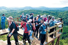 Tìm thấy thêm 5 người Việt bị “mất tích” trên đảo Cheju