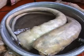 10 món ăn ngon từ đuôi động vật khác lạ của VN