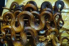 Những món ăn ngon lạ từ thịt rắn