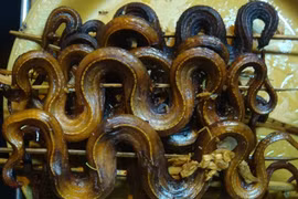 Những món ăn ngon lạ từ thịt rắn