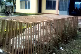 Vụ án "bắt giam hòn đá": “Đá gì cũng là khoáng sản“