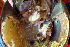 Lạ miệng, khó quên hương vị món sam biển 