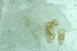 Dầu cá Omega 3 ăn mòn miếng xốp có làm chết người?