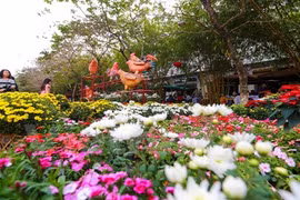 Cận cảnh lễ hội hoa xuân lớn nhất Tết 2017 ở Hà Nội