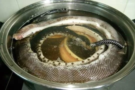Rùng mình với món rắn luộc nguyên con ở miền Tây