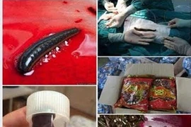 Đỉa khô tán nhuyễn trong thực phẩm sinh sôi trong cơ thể người?