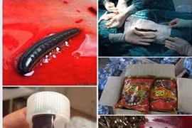 Đỉa khô tán nhuyễn trong thực phẩm sinh sôi trong cơ thể người?