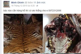 Buôn bán trên facebook xuất hiện mặt hàng...hổ, gấu, đại bàng