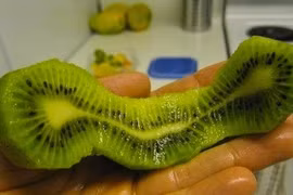 Sửng sốt củ quả đột biến gen kỳ dị nhất thế giới