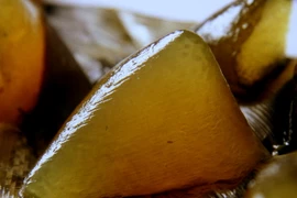 Những món bánh gói lá ngon nhất Việt Nam