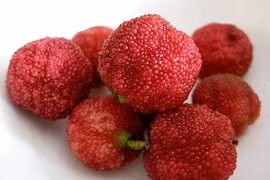 Nhiều loại quả đặc sản vùng cao chữa bệnh tốt