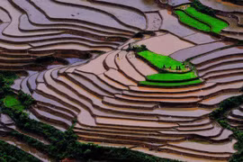 Ruộng bậc thang Việt Nam lot top cảnh đẹp tự nhiên thế giới