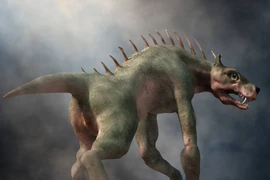 Top quái vật rùng rợn mãi mãi con người không tóm được 