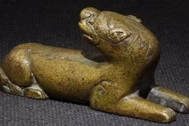 Dạo chơi trong rừng, người đàn ông sửng sốt thấy “quái thú” bằng vàng