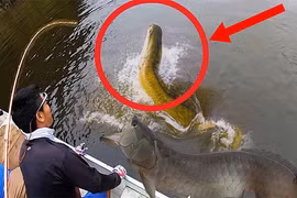 Bắt được 'thủy quái' có vảy rồng kỳ lạ, cần thủ run rẩy vì...