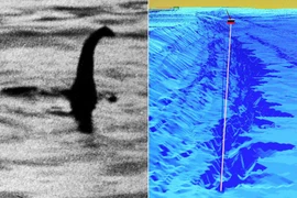 Tuyên bố chấn động... sự thật quái vật hồ Loch Ness đã được phơi bày?