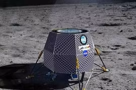 Trồng rau trên Mặt trăng để lên đó sống