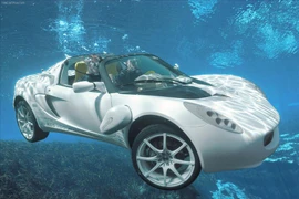 Những "chiến binh" tinh nhuệ trên cạn lẫn dưới nước